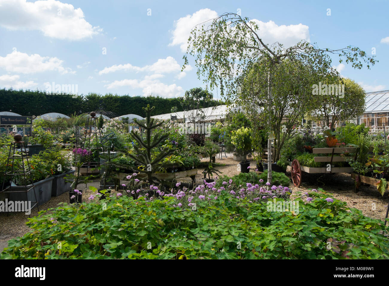 Burford garden centre hires stock photography and images Alamy