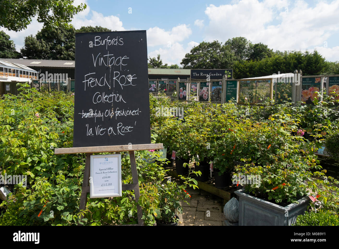 Plants and flowers on display at Burford Garden Centre in the Cotswolds