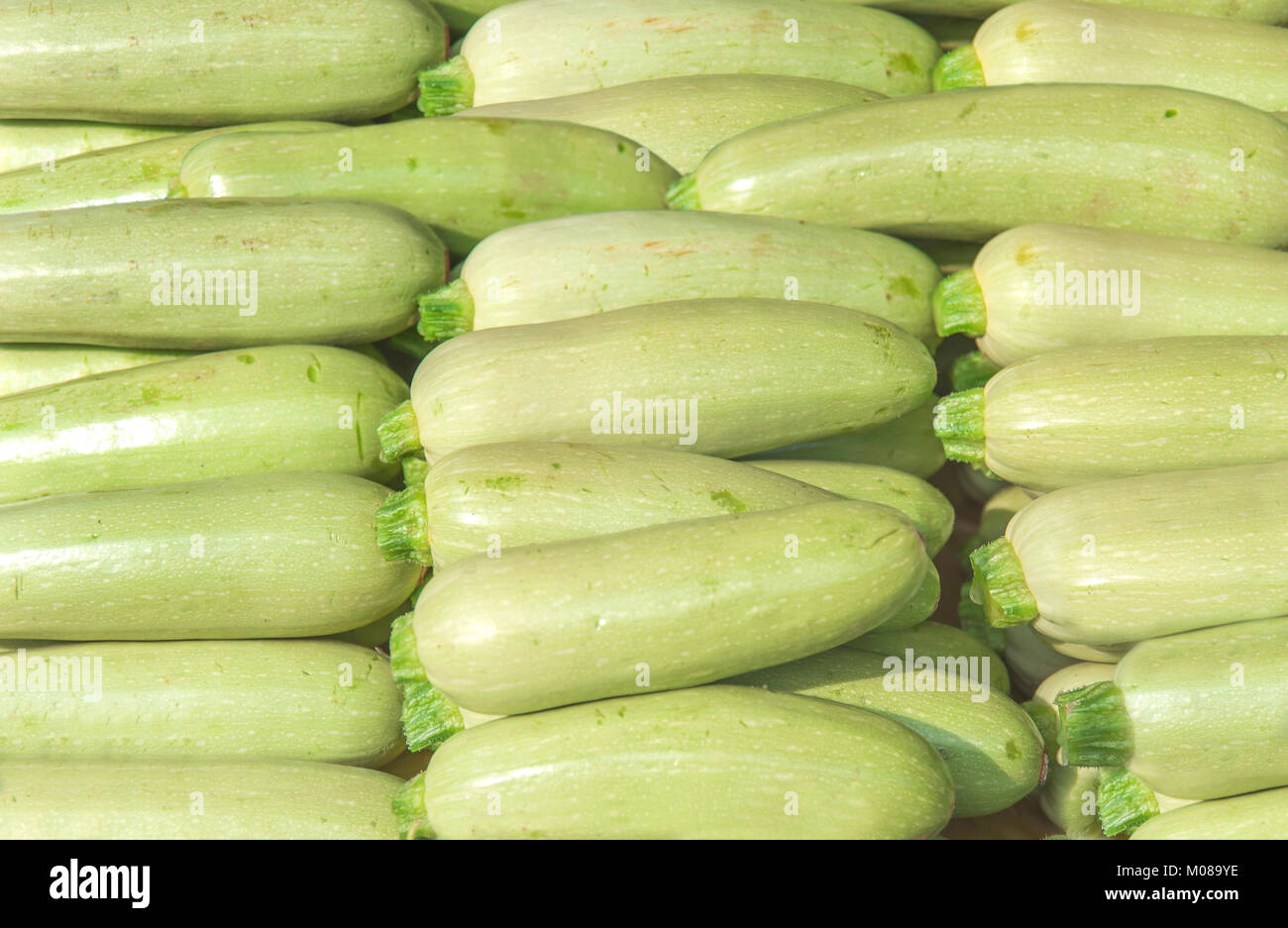 Fresh zucchini sliced on the counter ready for selling Stock Photo