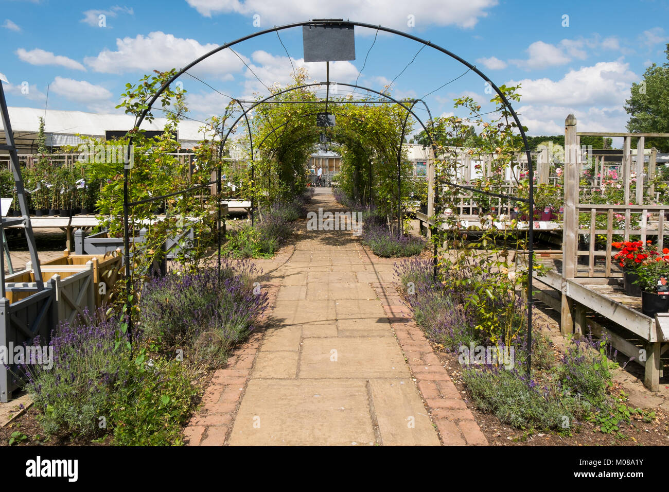 Plants and flowers on display at Burford Garden Centre in the Cotswolds