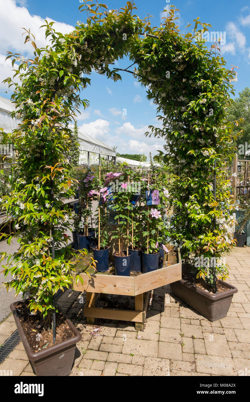 Plants and flowers on display at Burford Garden Centre in the Cotswolds