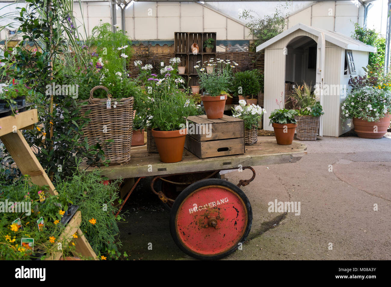 Plants and flowers on display at Burford Garden Centre in the Cotswolds