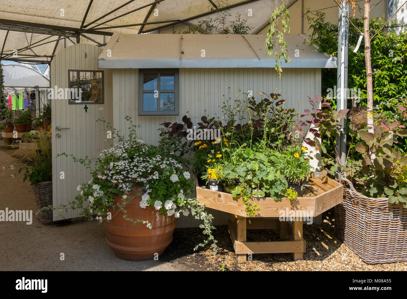 Plants and flowers on display at Burford Garden Centre in the Cotswolds
