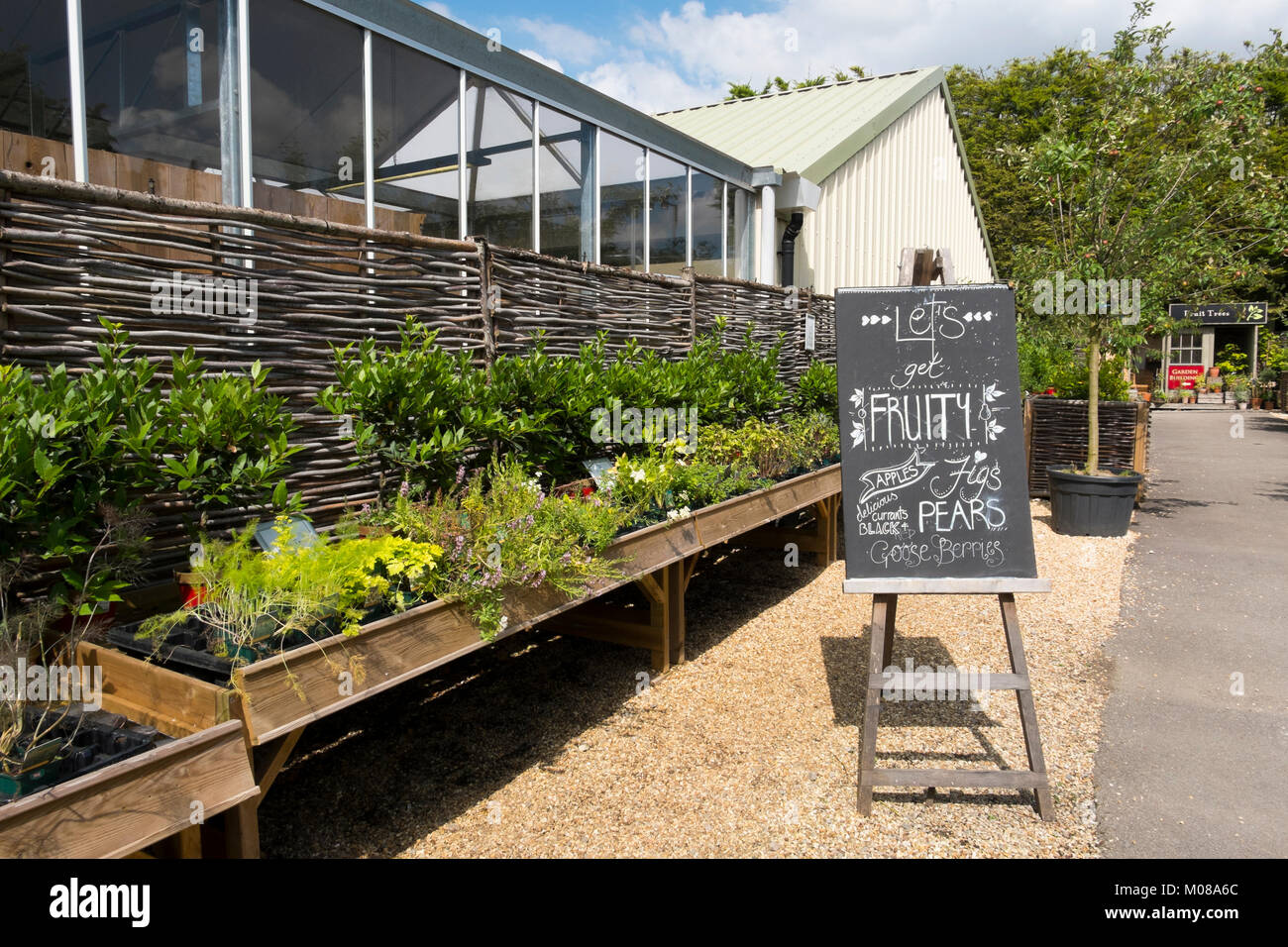 Plants and flowers at Burford Garden Centre in the Cotswolds