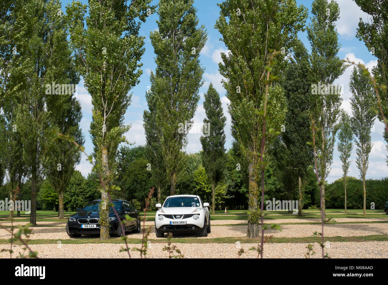 Trees in the car park at Burford Garden Centre in the Cotswolds