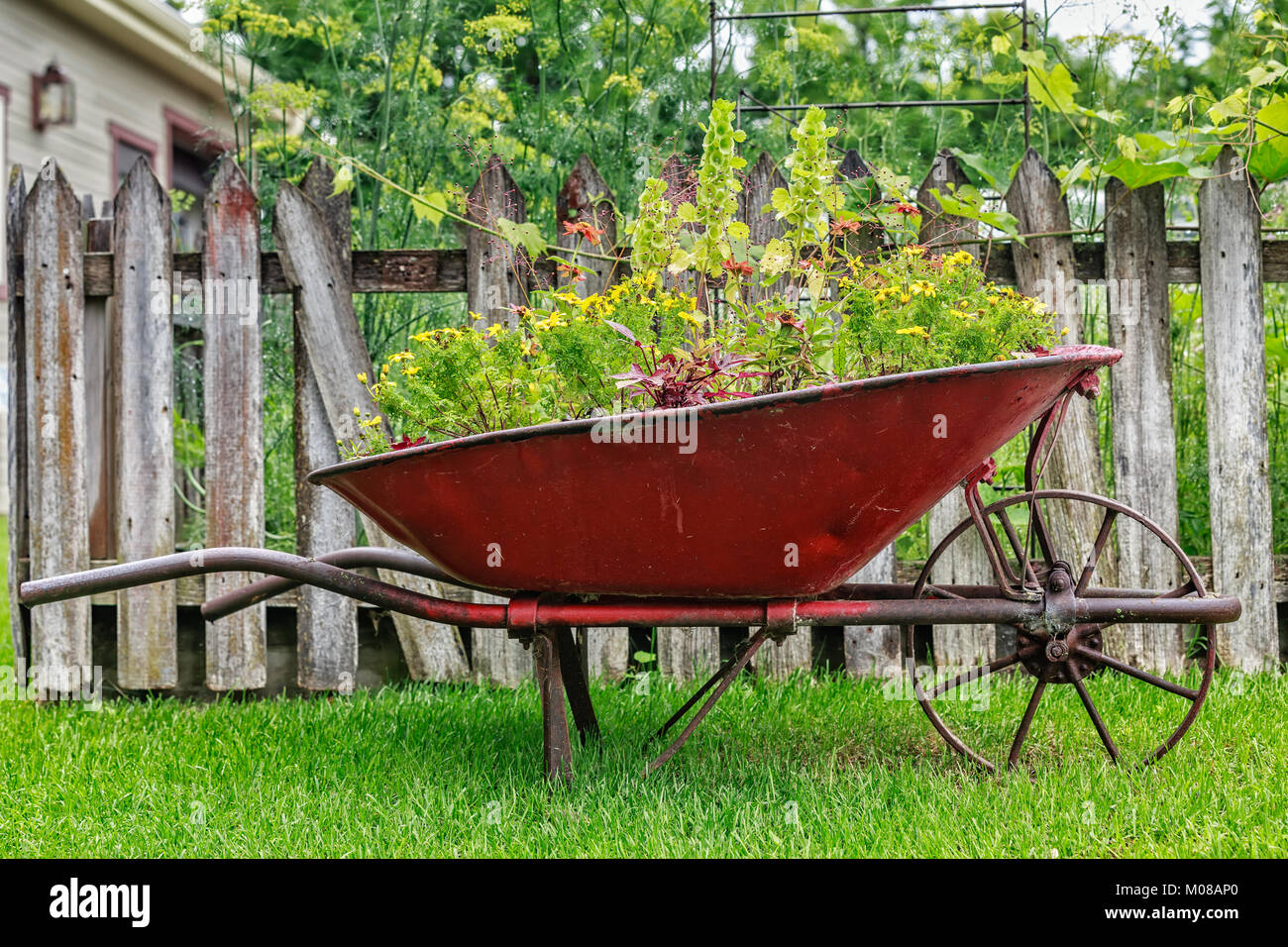 Wheelbarrow full of flowers, Manitoba, Canada Stock Photo Alamy
