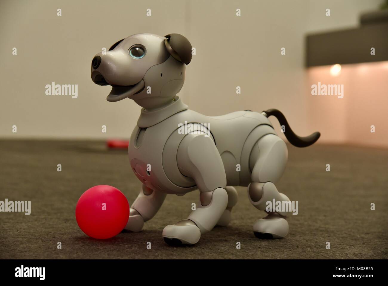 Robot dog hi-res stock photography and images - Alamy