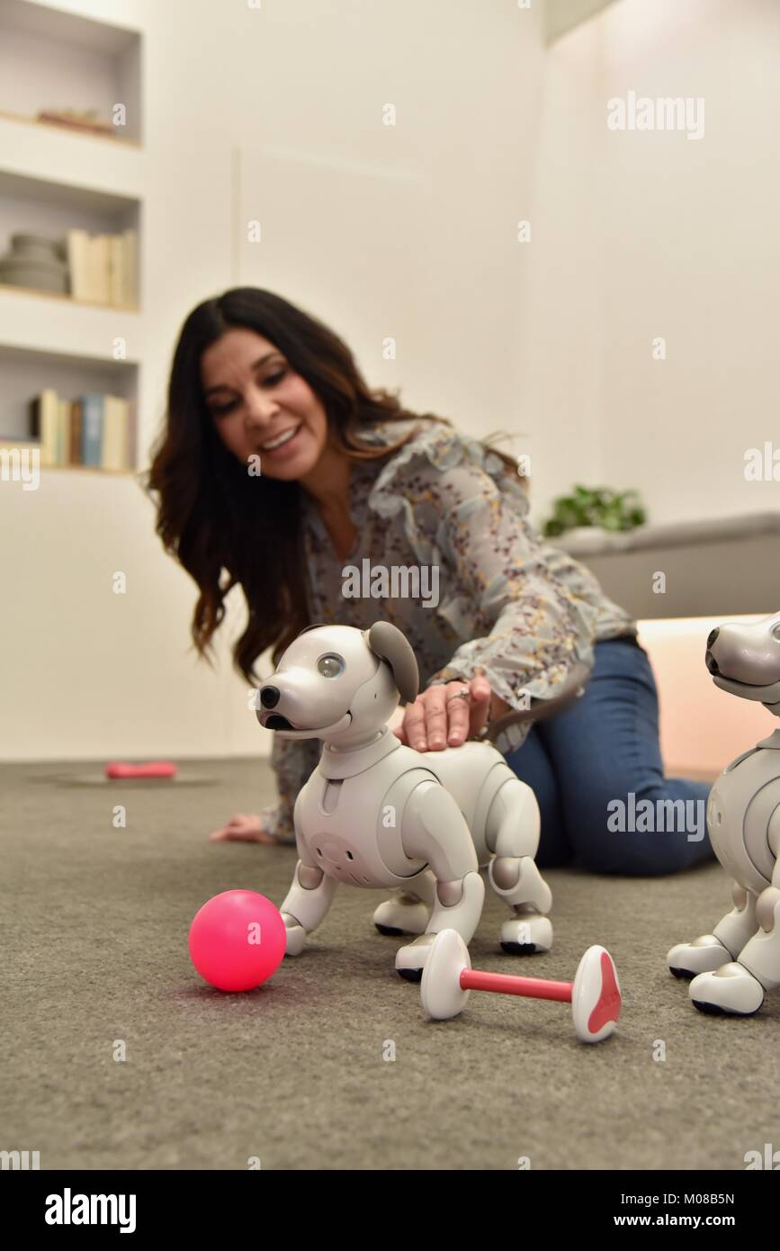 expensive robot dog