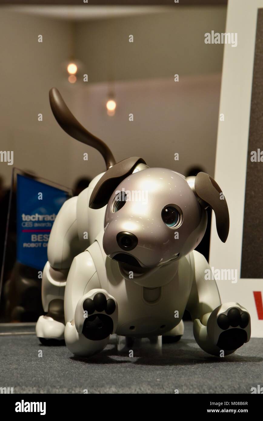 Sony\'s new, cute, adorable and expensive Aibo robot dog showcased ...