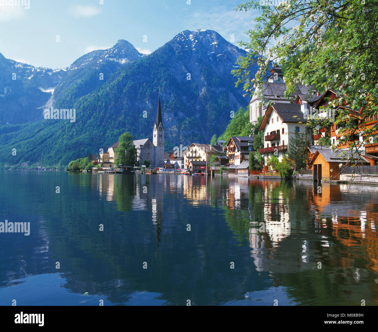 Hallstatt and blossom on Lake Hallstatt, Salzkammergut, Austria Stock ...