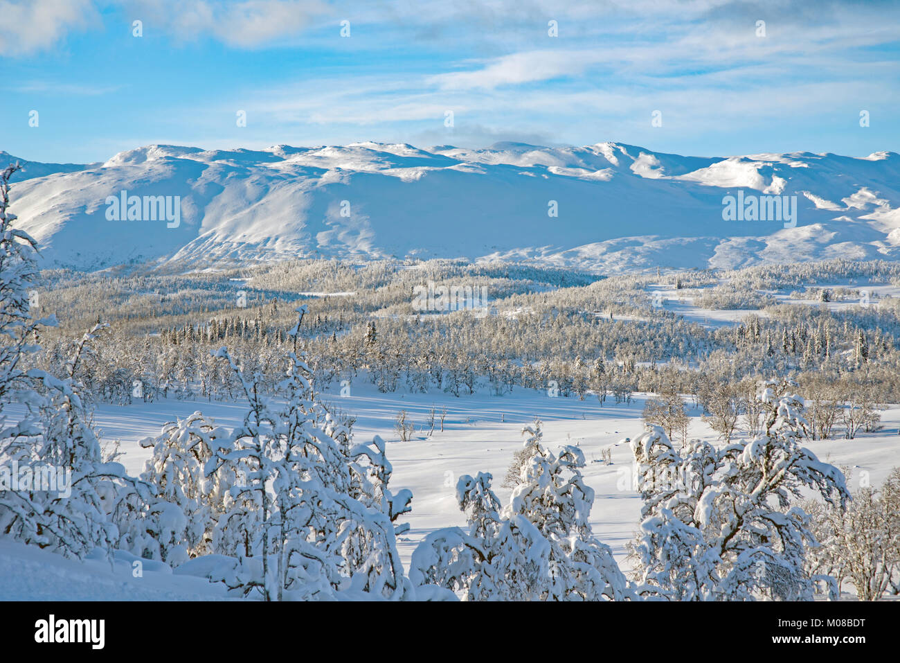 Picture From Telemark Norway Winter Landscape In Rauland Stock Photo Alamy Picture From Telemark Norway Winter Landscape In Rauland Stock Photo Alamy