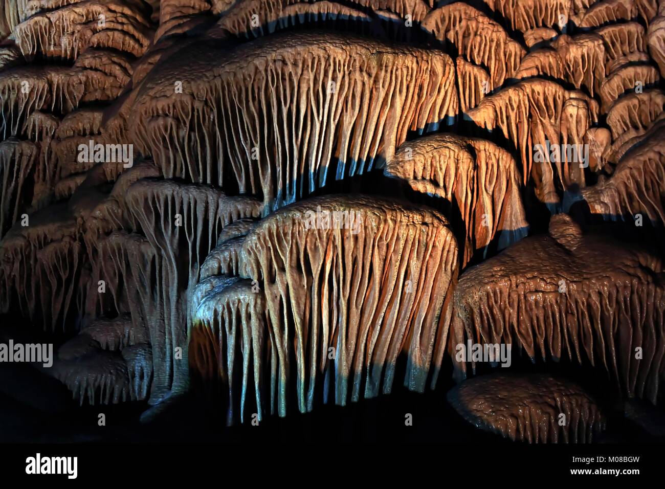 Cave coral at the Soreq Stalactite Cave Nature Reserve (also called Avshalom Cave). This 82-meter-long,60-meter-wide cave is on the western slopes of the Judean Hills outside the city of Beit Shemesh,Israel. Sorek Cave is famous for its beautiful formations. Stalactites and stalagmites,but also many other forms of speleothems,especially calcite crystals,helictites and cave coral. Stock Photo