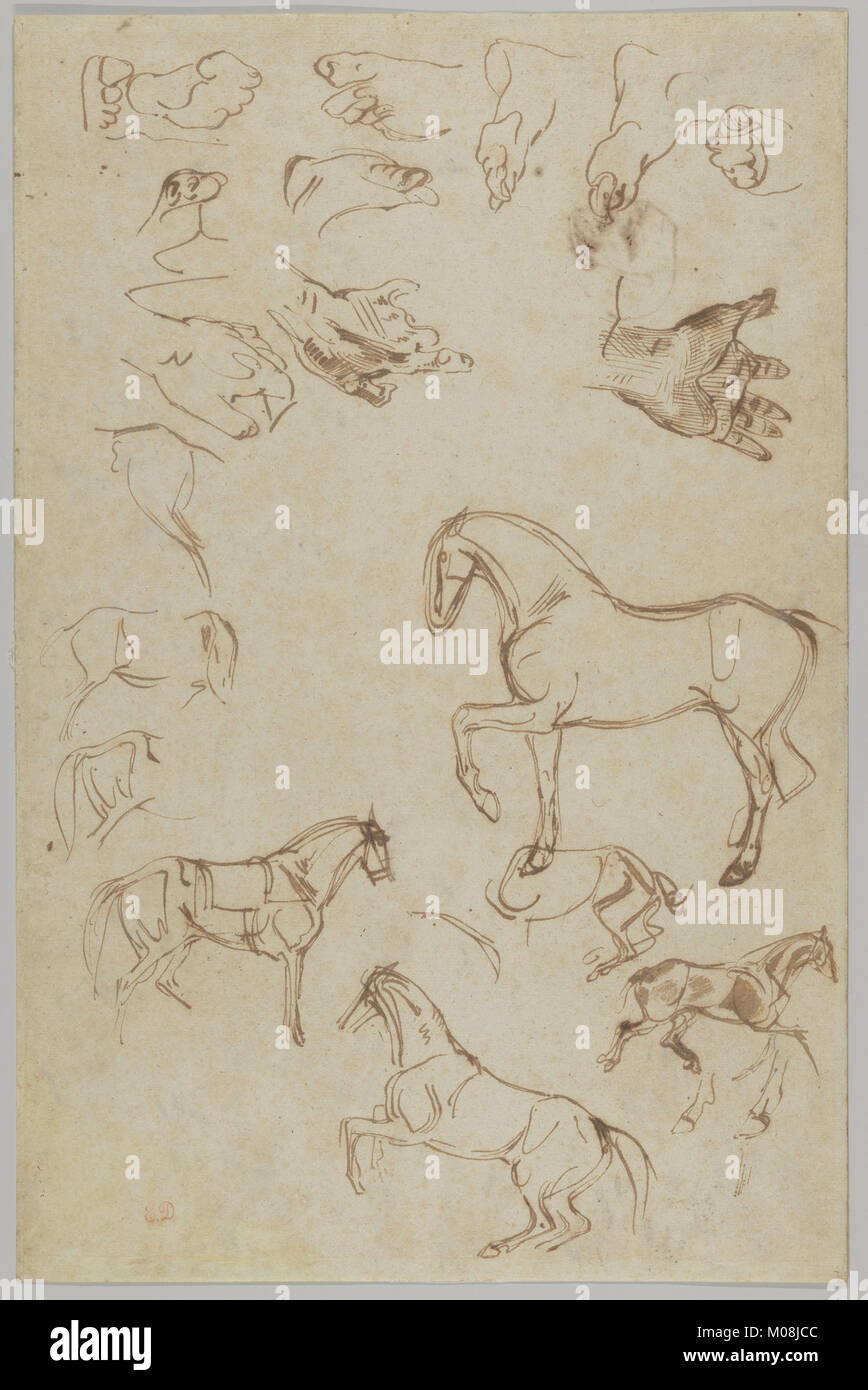 Nineteen Studies of Horses, Hands, and Feet (r.); Studies of Heads and Figures (v.) MET DP836149 Stock Photo