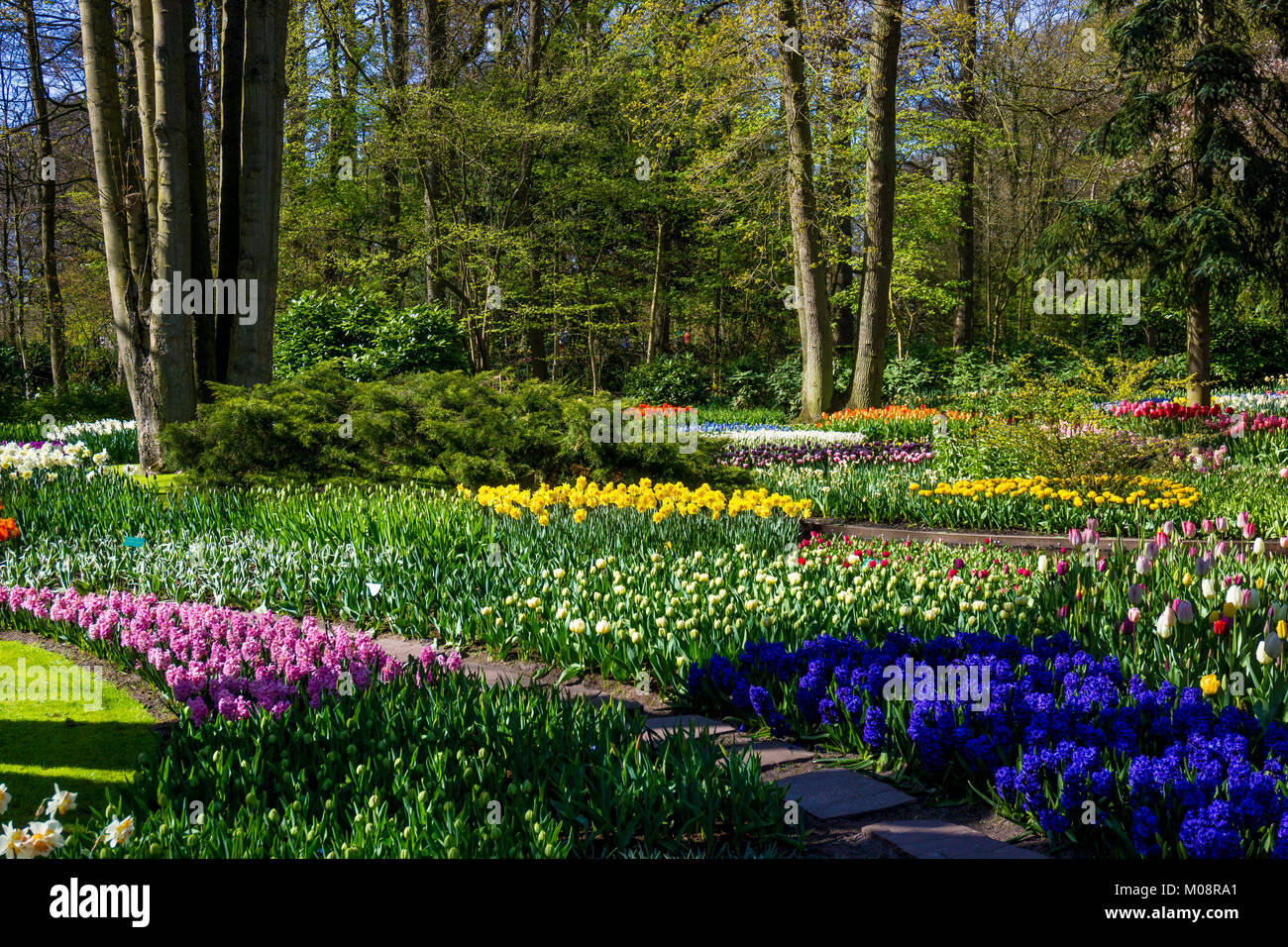 Keukenhof park in Netherlands Stock Photo - Alamy