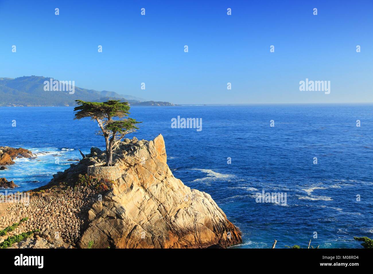 MONTEREY, CALIFORNIA - APRIL 7, 2014: Lone Cypress tree view along famous 17 Mile Drive in Monterey. Sources claim it is one of the most photographed  Stock Photo