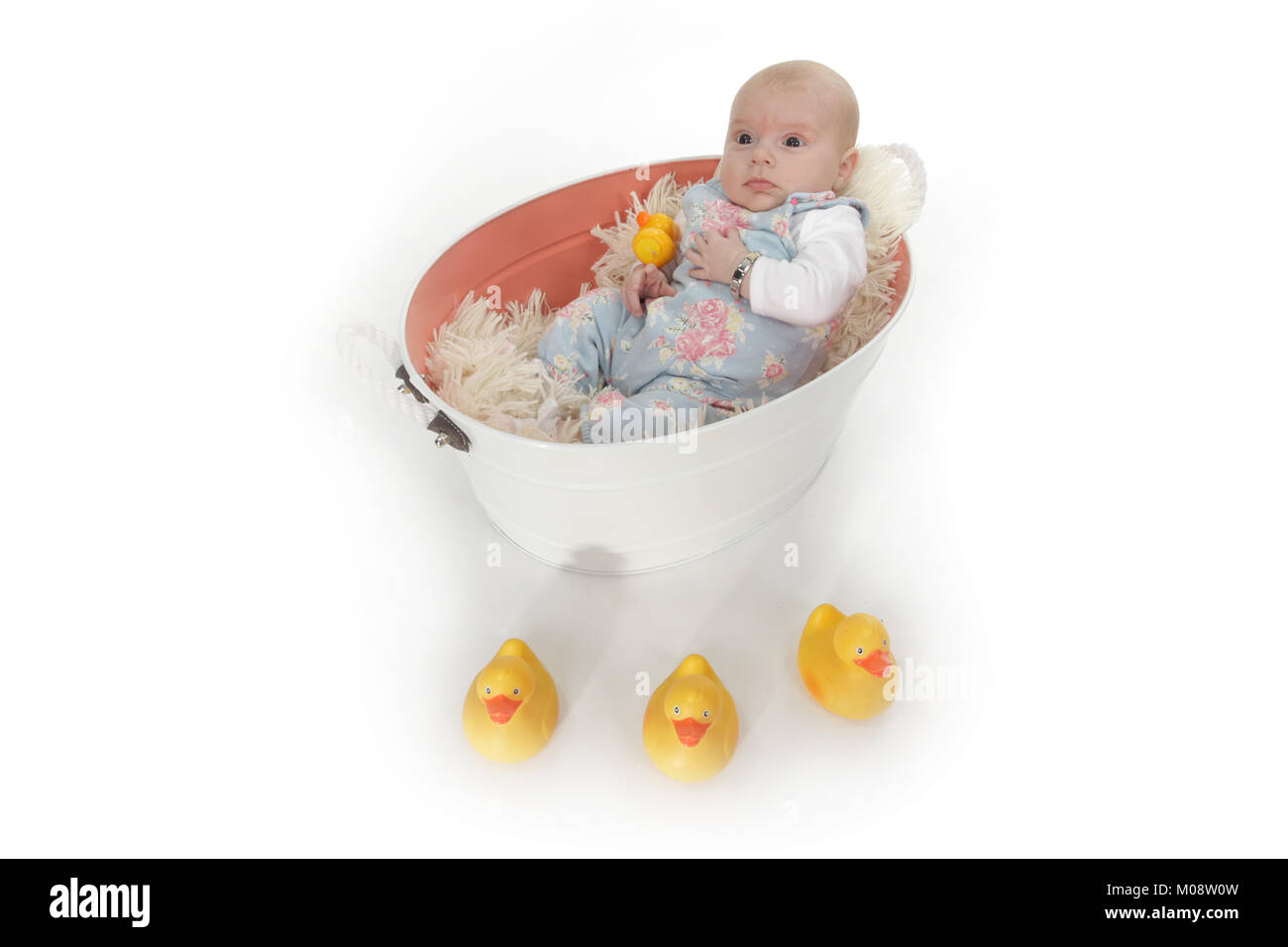 10 week old baby girl playing with rubber ducks in tub Stock Photo