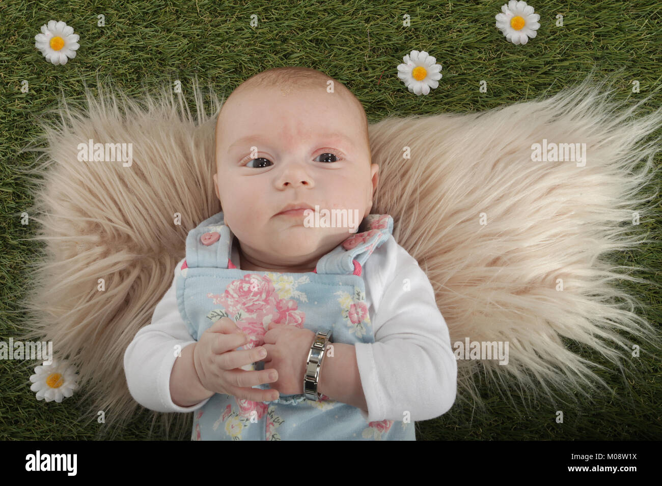 10 week old baby girl playing on grass Stock Photo Alamy