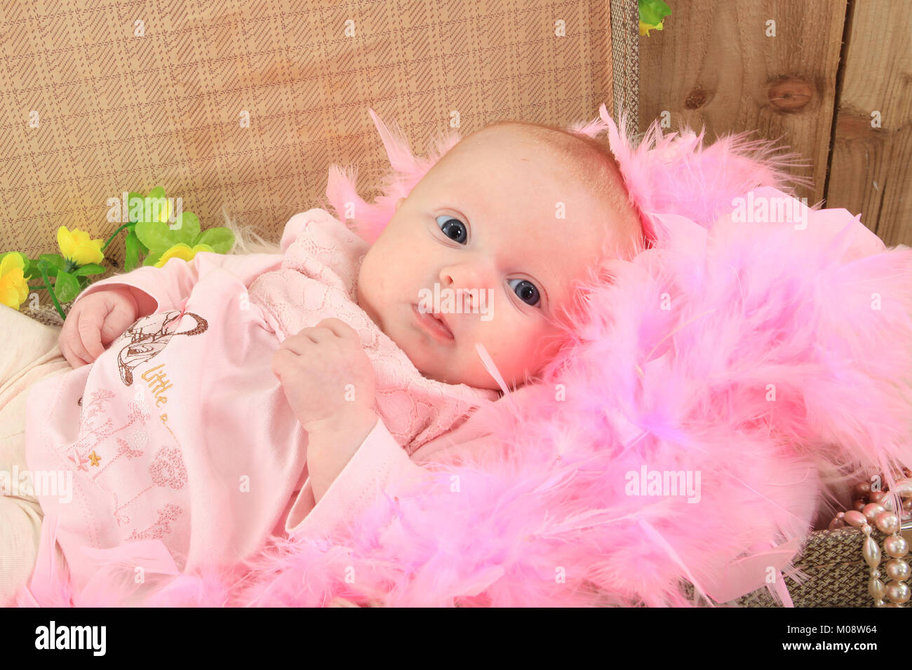 2 months store baby girl