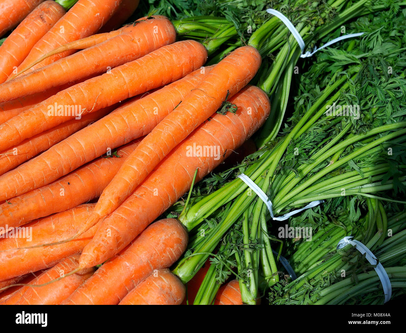 Food street market. Bundles of orange carrots on sale on a stand of