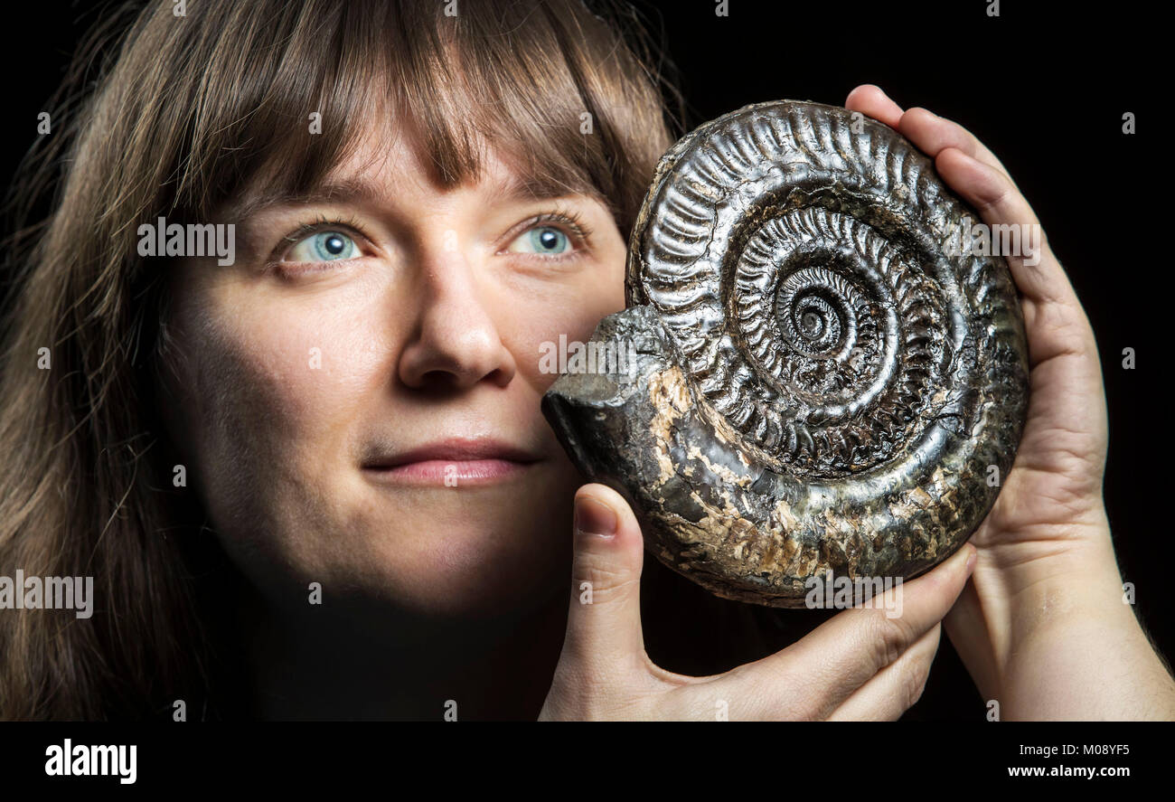 Sarah King, curator of natural science at the Yorkshire Museum inYork, holds a 200 million year old ammonite fossil as she selects items ahead of the Yorkshire Museum's new Jurassic exhibition. Stock Photo
