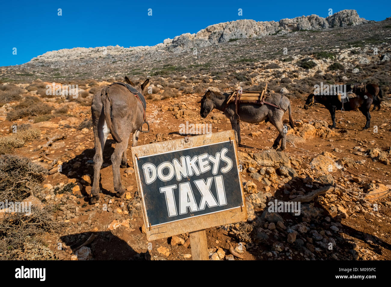 Donkey in crete hi-res stock photography and images - Alamy