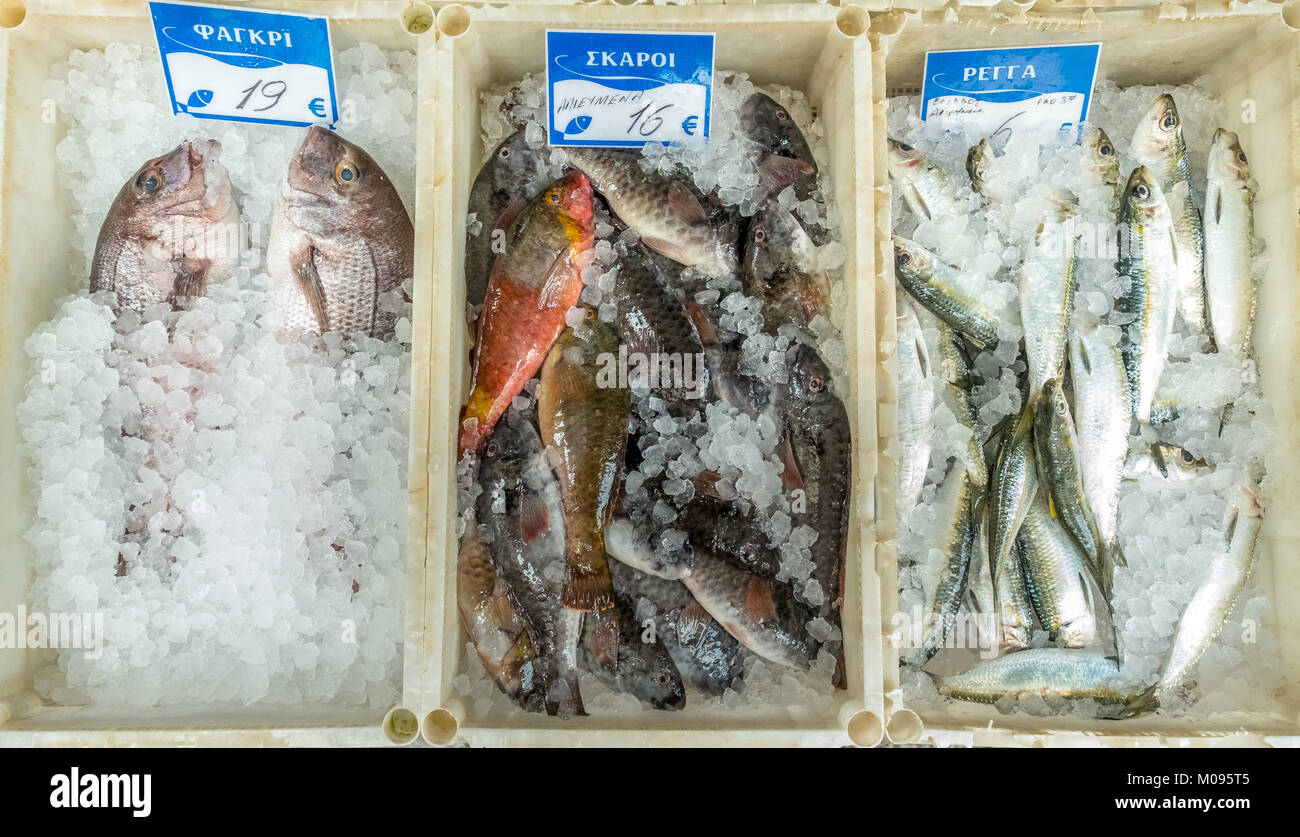 Fish shop in the streets of Rethimnon, sea bream, herring, ΡΕΓΓΑ, fish on ice, Rethymno, Europe, Crete, Greece, Rethymno, Europe, Crete, Greece, GR, t Stock Photo