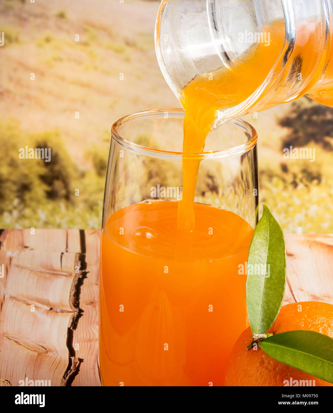 Orange Juice Healthy Showing Citrus Fruit And Drink Stock Photo Alamy