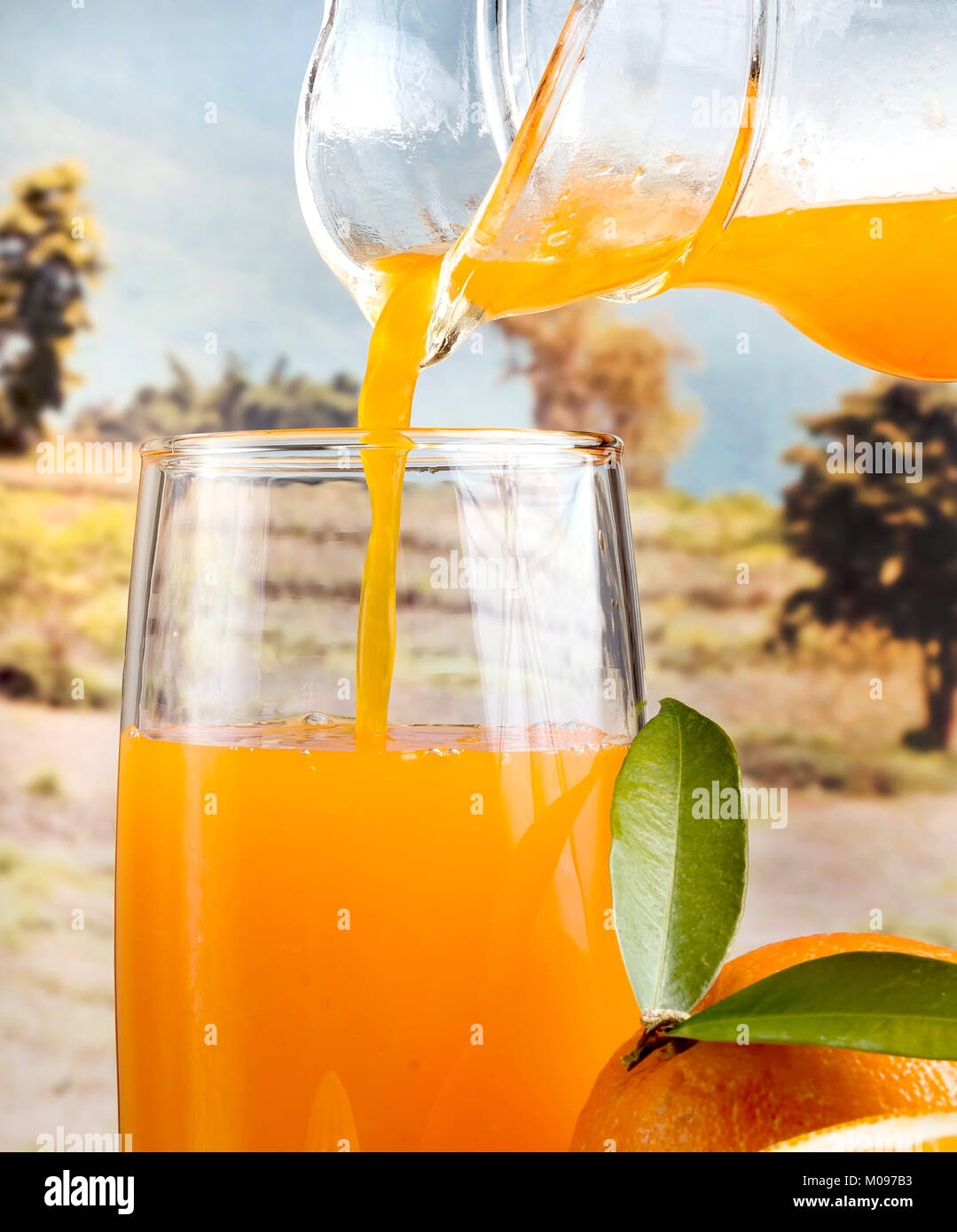 Orange Juice Healthy Showing Citrus Fruit And Refreshment Stock Photo
