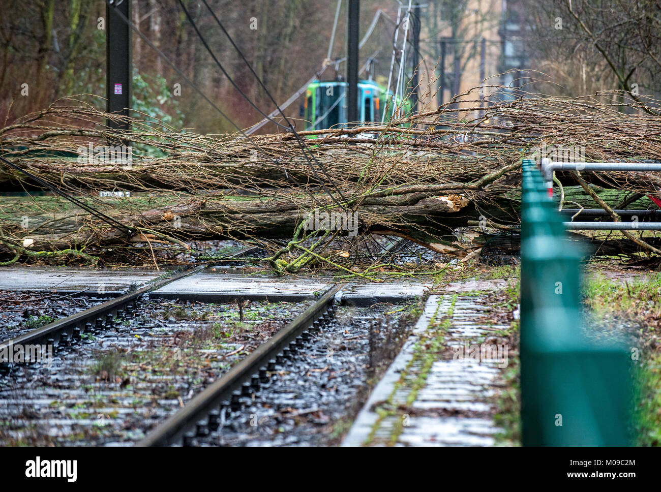 Hanover, Germany. 18th Jan, 2018. An overturned tree blocks the tracks of the city railway in the area of Mittelfeld in Hanover, Germany, 18 January 2018. The storm front 'Friederike' is passing over large areas of Germany. Credit: Hauke-Christian Dittrich/dpa/Alamy Live News Stock Photo