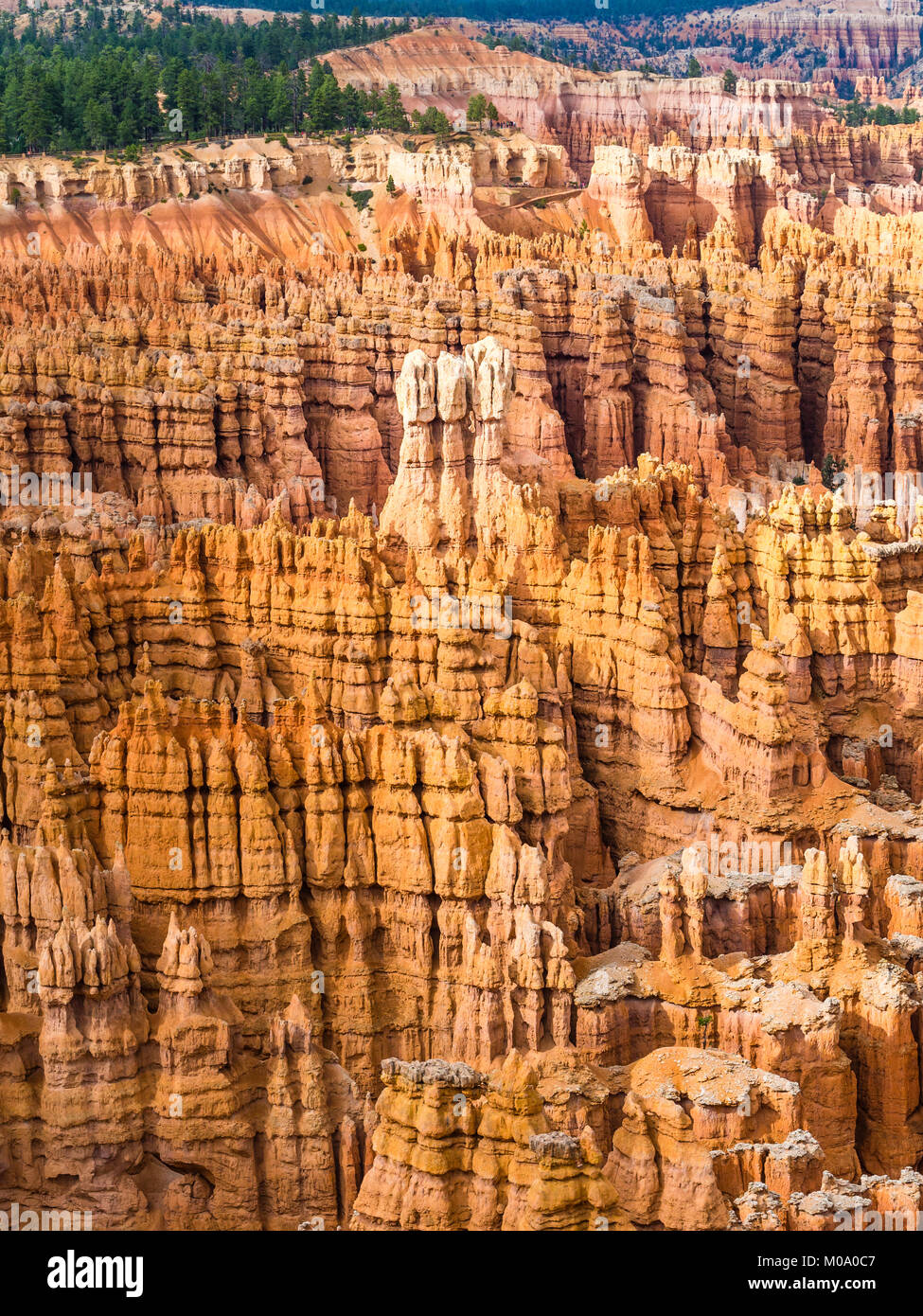 Hoodoo rock formations at Bryce Canyon National Park, Utah (USA Stock ...