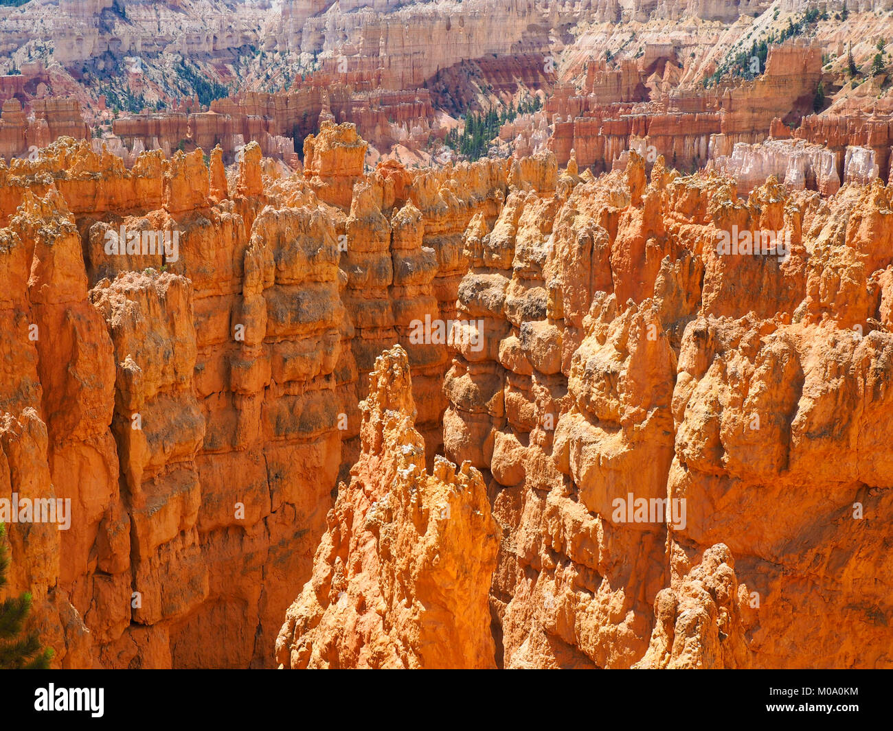 Hoodoo rock formations at Bryce Canyon National Park, Utah (USA). Stock Photo