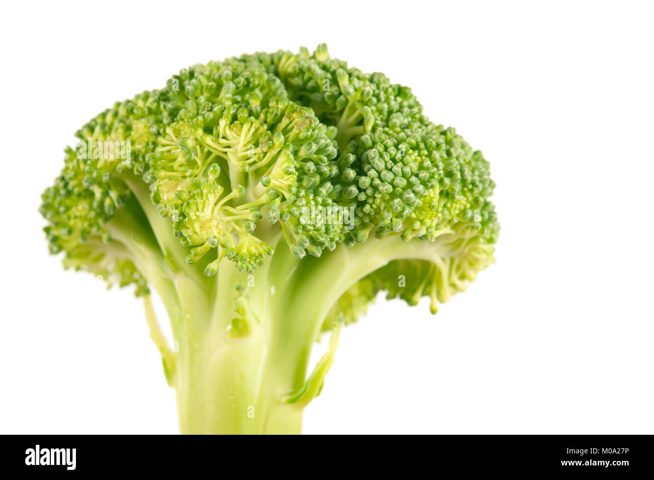 broccoli head isolated Stock Photo Alamy