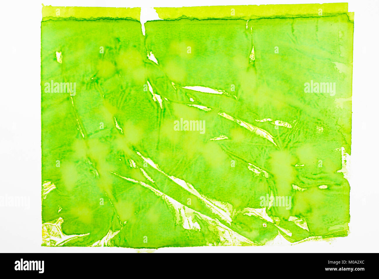 green color painted watercolor on white paper background texture Stock Photo