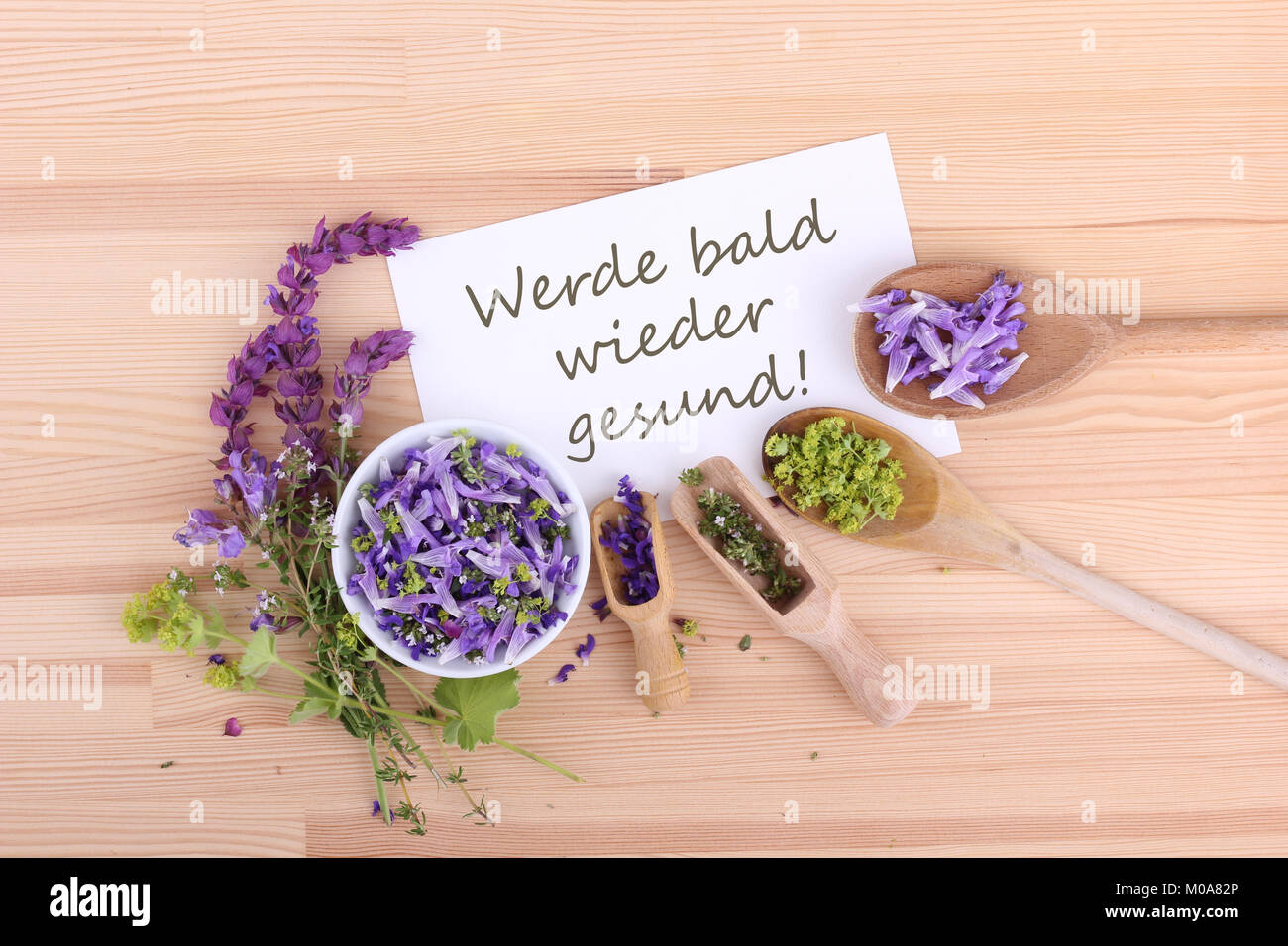 greeting card with flowers of sage, thyme and ladys mantle and german Text: get well soon Stock Photo