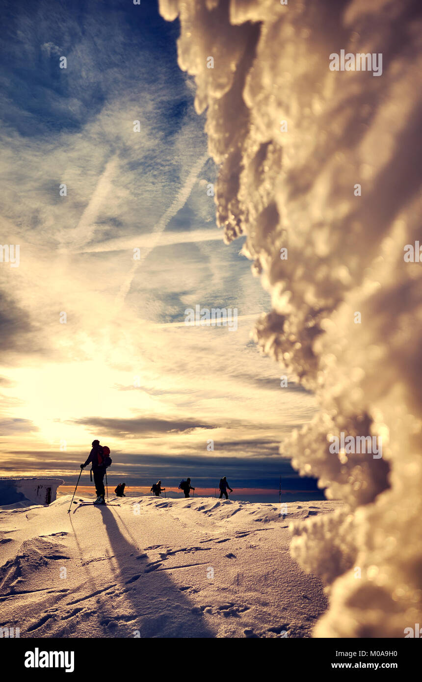 Cross-country skiers silhouettes in distance at sunset, focus on background. Stock Photo