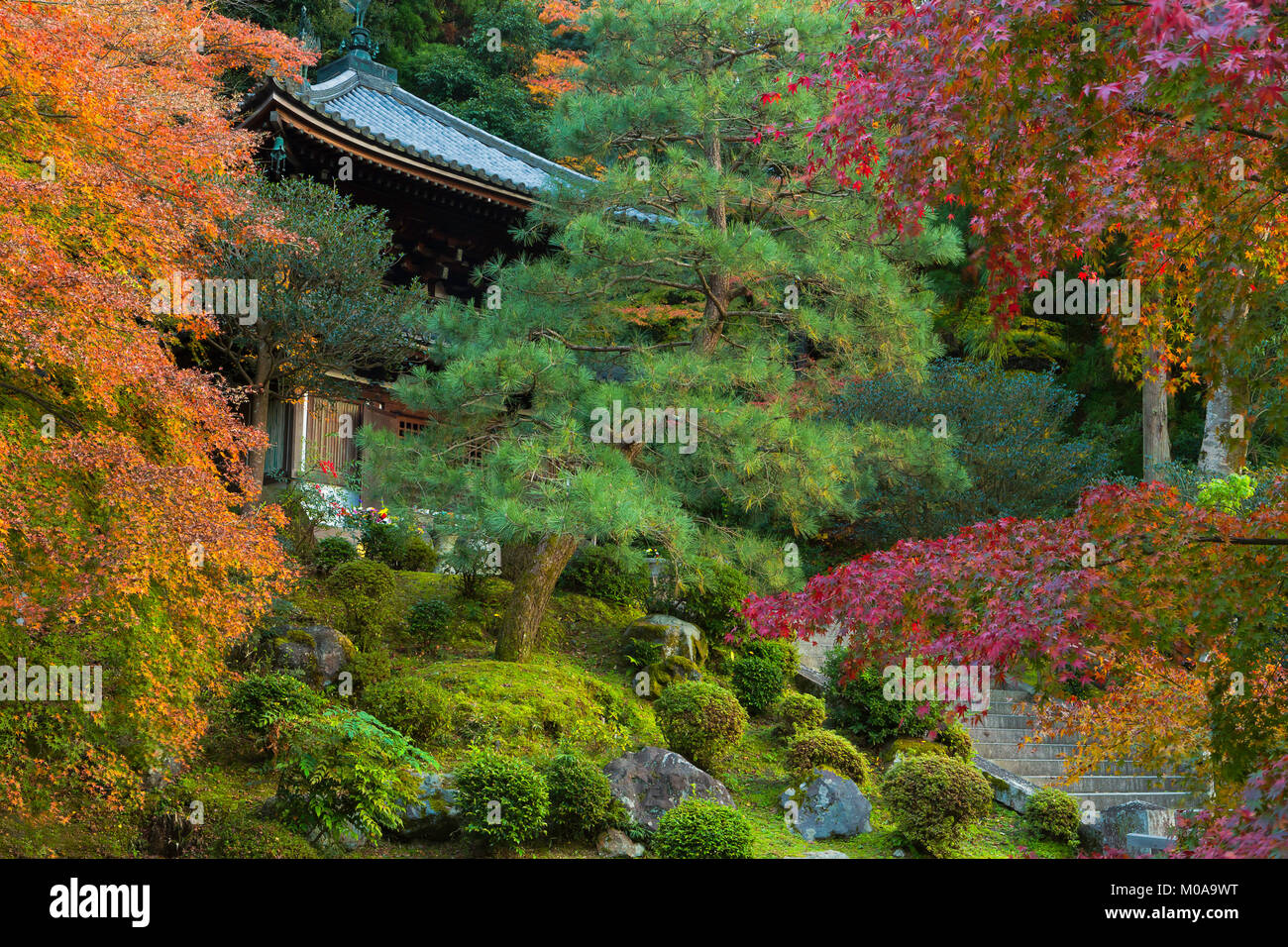 A temple surrounded by fall color in Kyoto, Japan. Stock Photo