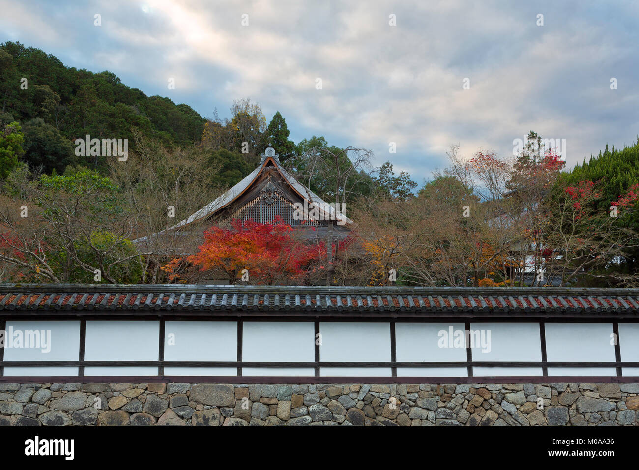 A wall surrounds a temple and fall color in Kyoto, Japan. Stock Photo