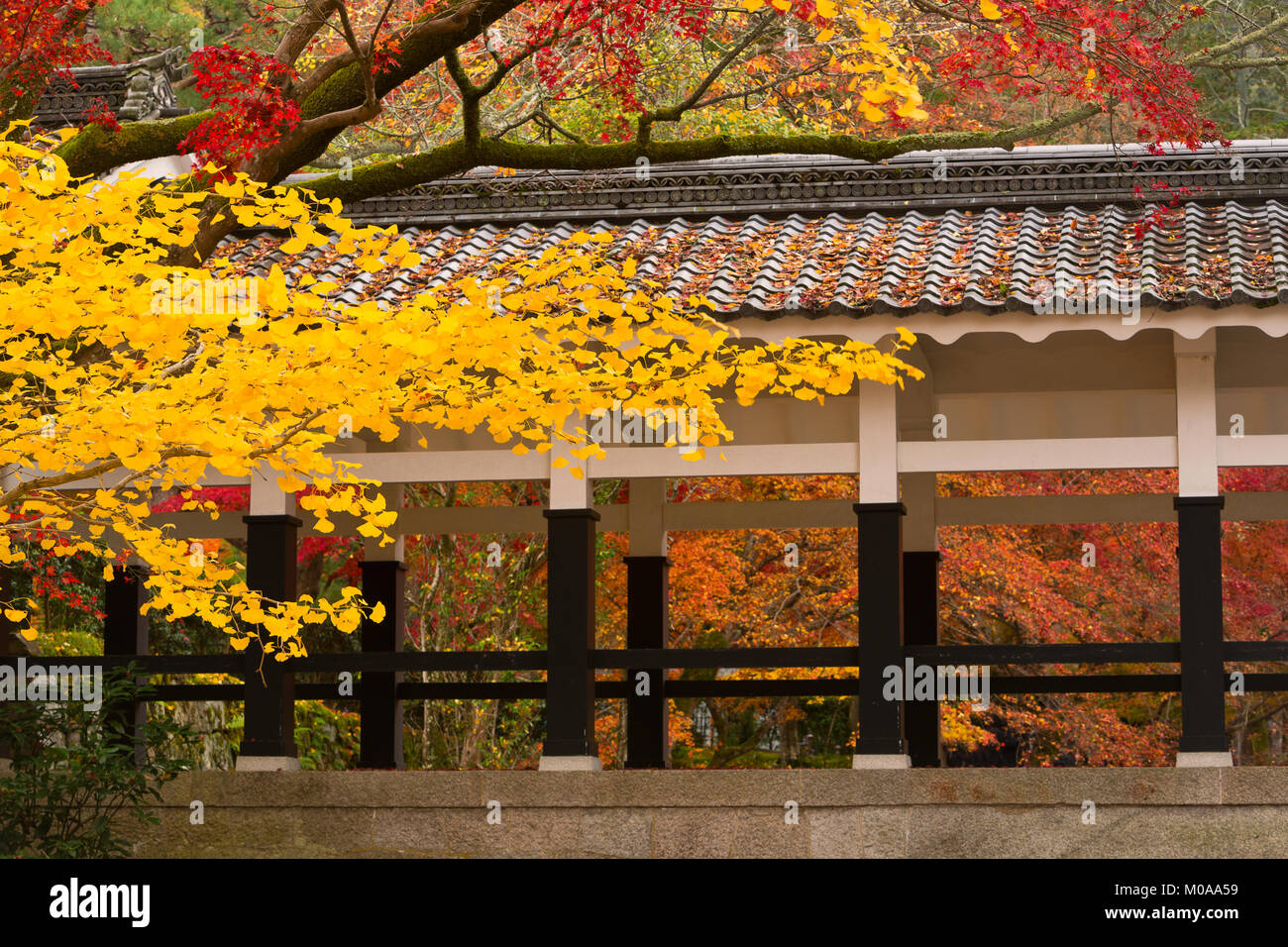 A covered path in the Nanzen-ji Temple area surrounded by fall color. Kyoto, Japan. Stock Photo