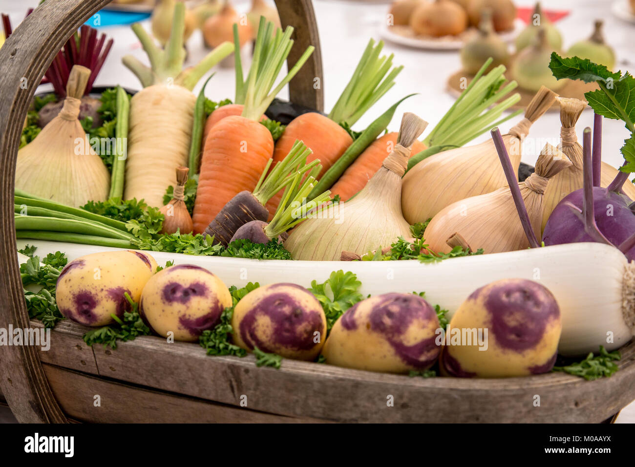 Basket of immaculate vegetables in the Morton-in-the-Marsh show. Stock Photo