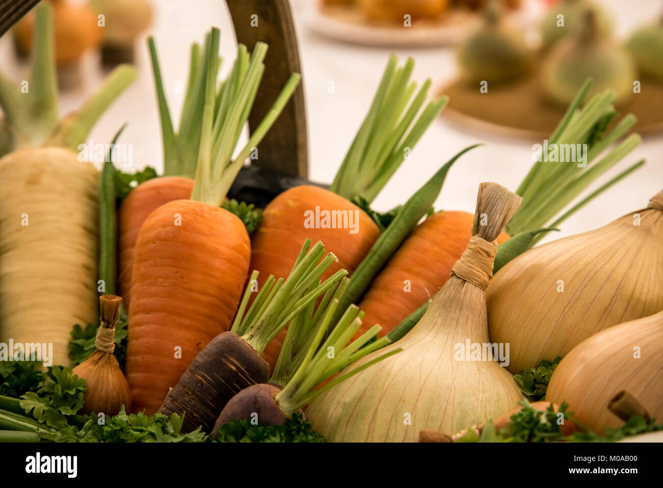 Basket of immaculate vegetables in the Morton-in-the-Marsh show. Stock Photo