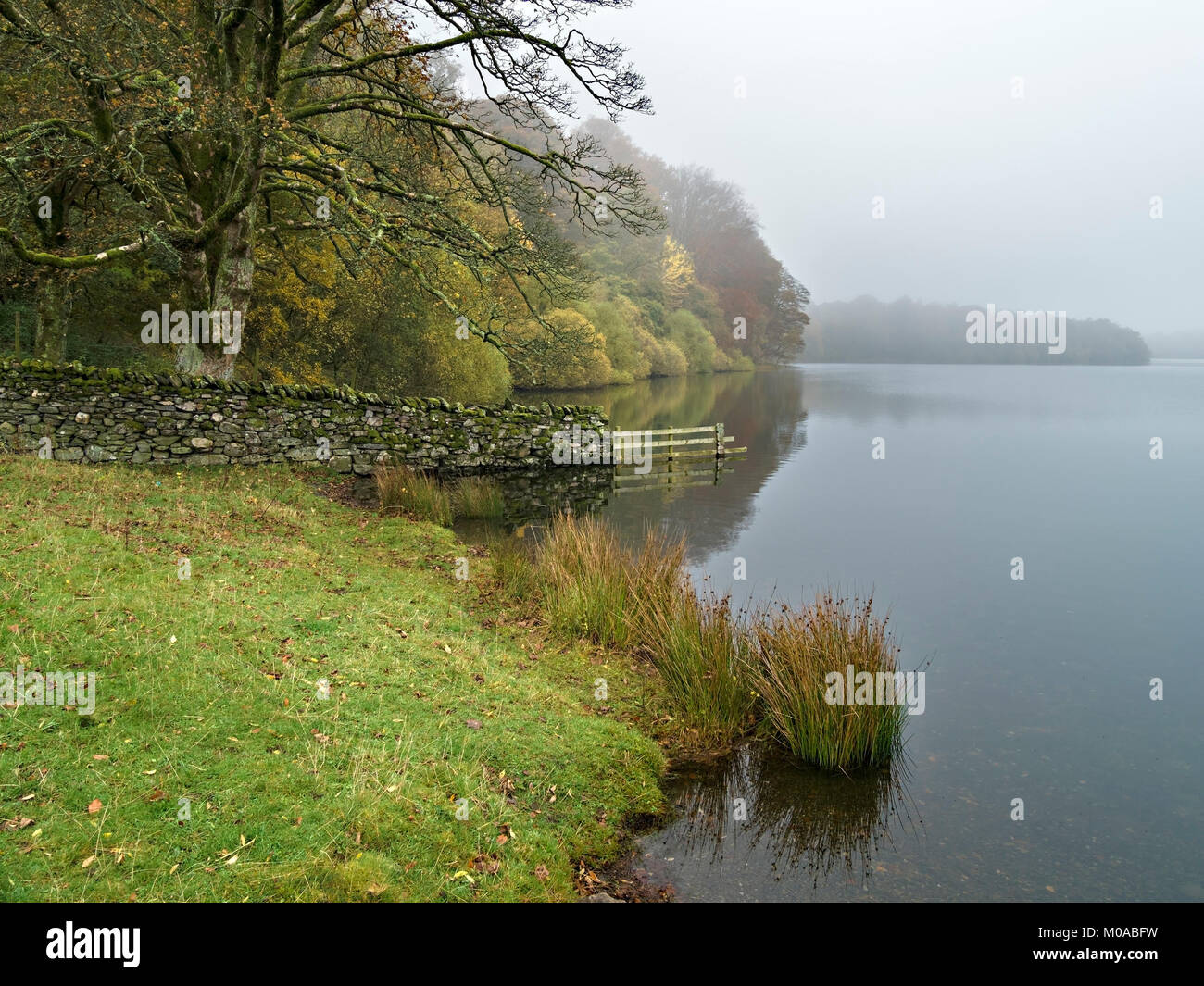 Loweswater lake and shoreline on a calm Autumn day, English Lake District National Park, Cumbria, England, UK. Stock Photo