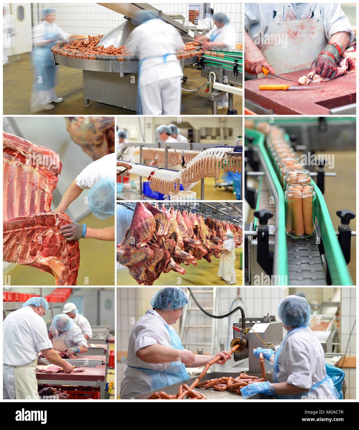 food industry - production of sausages, workers in a meat processing plant, cold store with pork and beef halves, canned meat production Stock Photo
