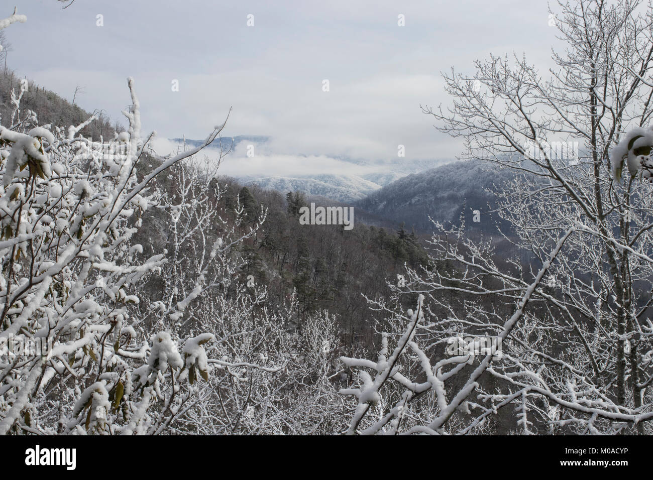 Snow covered landscape scene Stock Photo