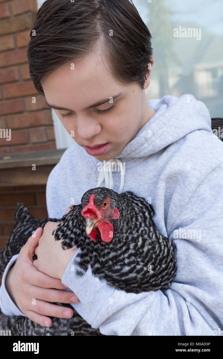 Boy with a chicken hires stock photography and images Alamy
