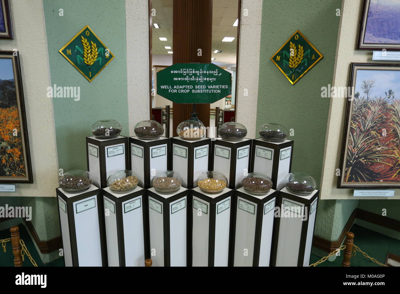 The Drug Elimination Museum in Yangon is filled with displays warning of the dangers and risks of drug addiction. Stock Photo
