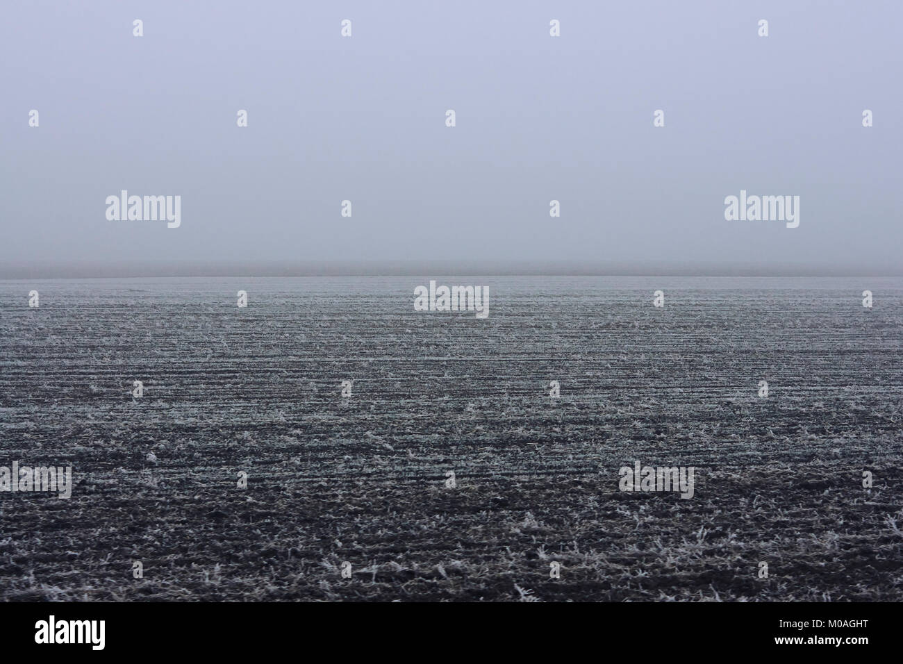 Cold, bleak but beautiful landscapes taken from a train in winter between croatia and hungary Stock Photo