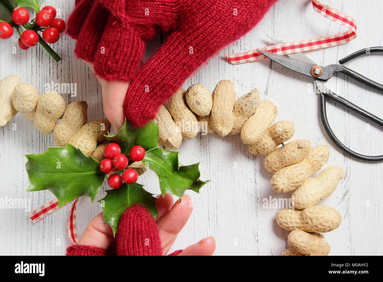 Creating homemade winter heart-shaped bird feeder from monkey nuts (step by step guide). Step  2/3: Attach festive winter foliage and ribbon or twine Stock Photo