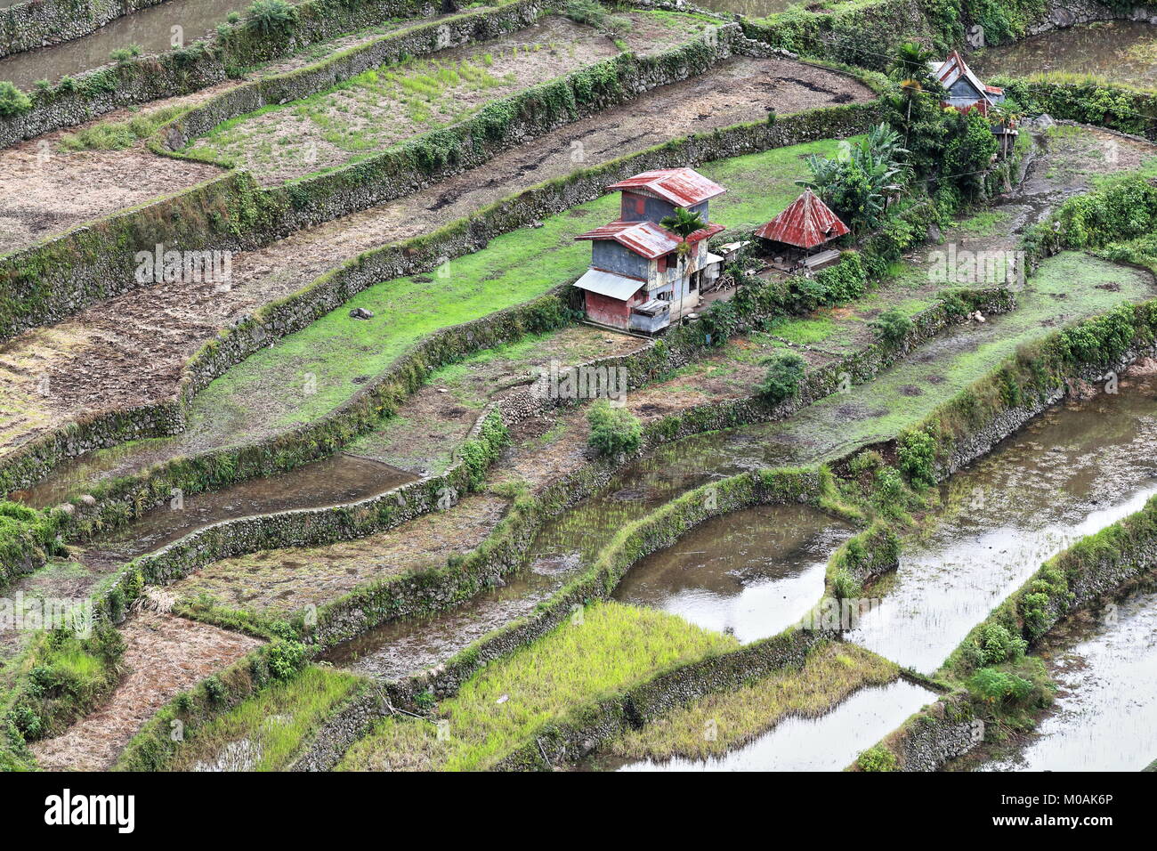 The Batad village cluster-part of the Rice Terraces of the Philippine Cordilleras UNESCO World Heritage Site in the cultural landscape category. Banau Stock Photo