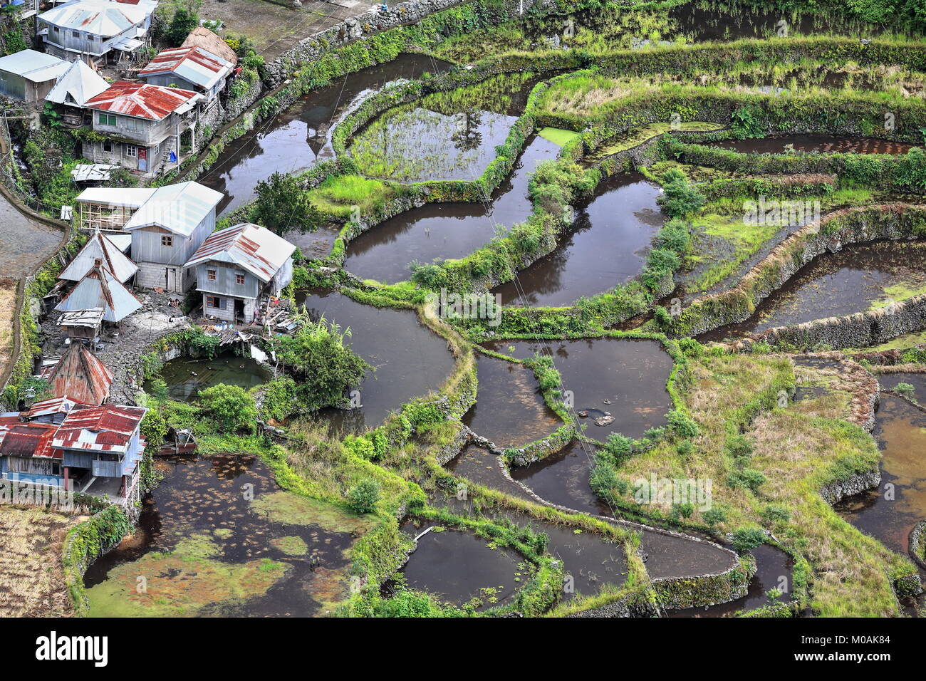 The Batad village cluster-part of the Rice Terraces of the Philippine Cordilleras UNESCO World Heritage Site in the cultural landscape category. Banau Stock Photo