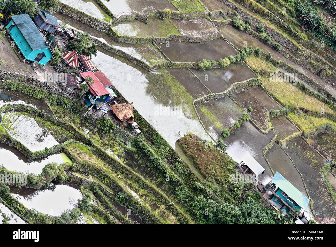 The Batad village cluster-part of the Rice Terraces of the Philippine Cordilleras UNESCO World Heritage Site in the cultural landscape category. Banau Stock Photo